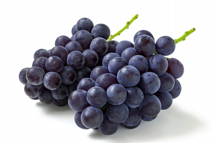 ぶどう